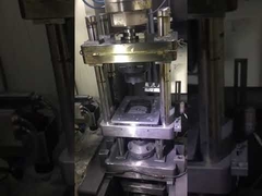 Sichuan Cross Trading co., Ltd  Plant operation line.4